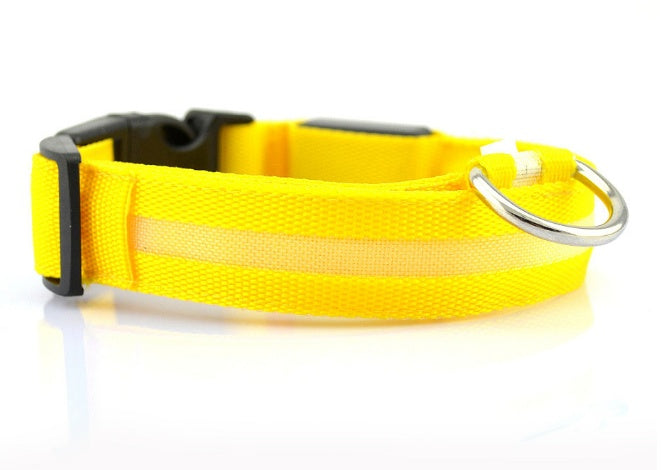 LED Light-Up Dog Collar  Safety Reflective Flashing Collar for Night Walking | Adjustable  Pet Glow Collar