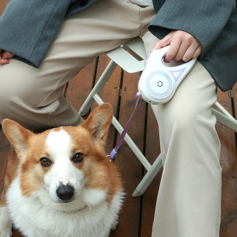 Retractable Dog Leash with Collar  Automatic Extendable Pet Traction Rope with Lock System for Small & Medium Dogs