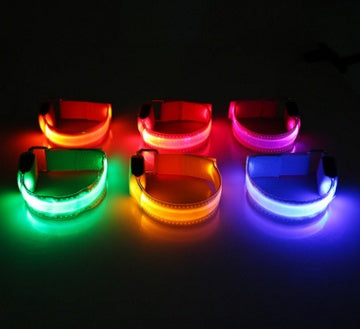LED Light-Up Dog Collar  Safety Reflective Flashing Collar for Night Walking | Adjustable  Pet Glow Collar