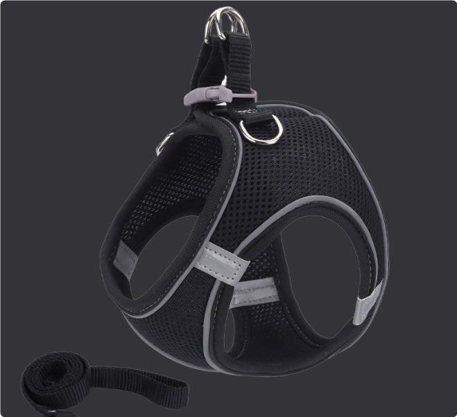 Black dog harness with reflective stripes on a dark background