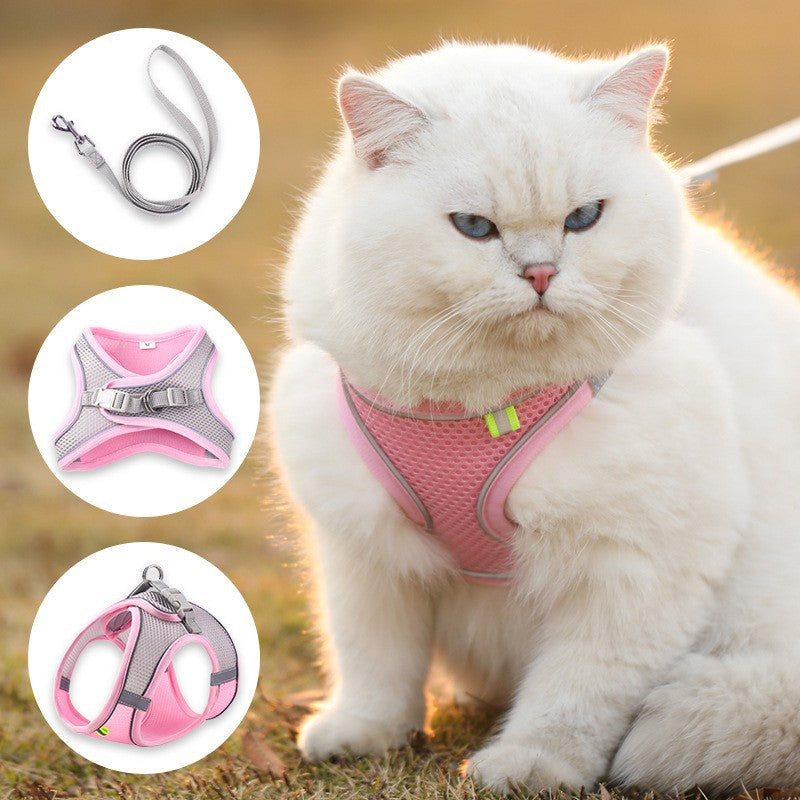 Cat wearing a pink harness with close-ups of the harness and leash on a natural background