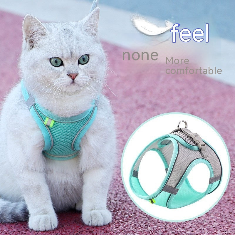 Cat wearing a teal harness with an inset showing the design on a pink background.