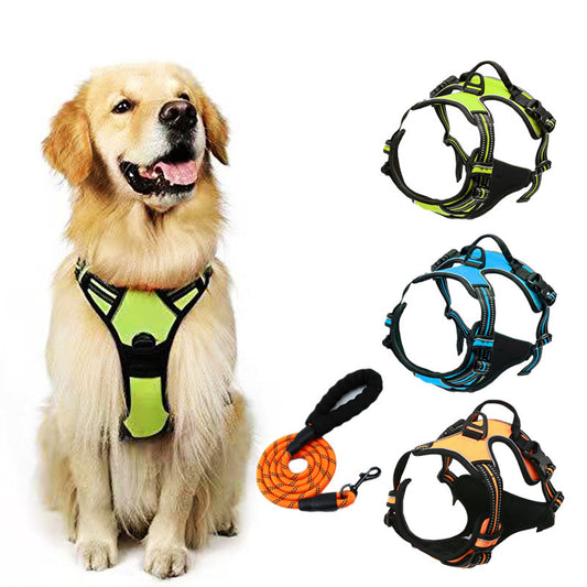 Dog wearing a green harness with additional harnesses and a leash displayed on a white background