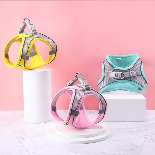 Four colorful pet harnesses on stands against a pink background