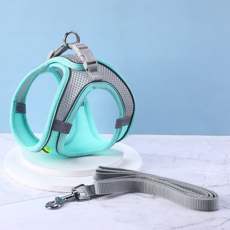 Pet harness and leash set on a light blue background