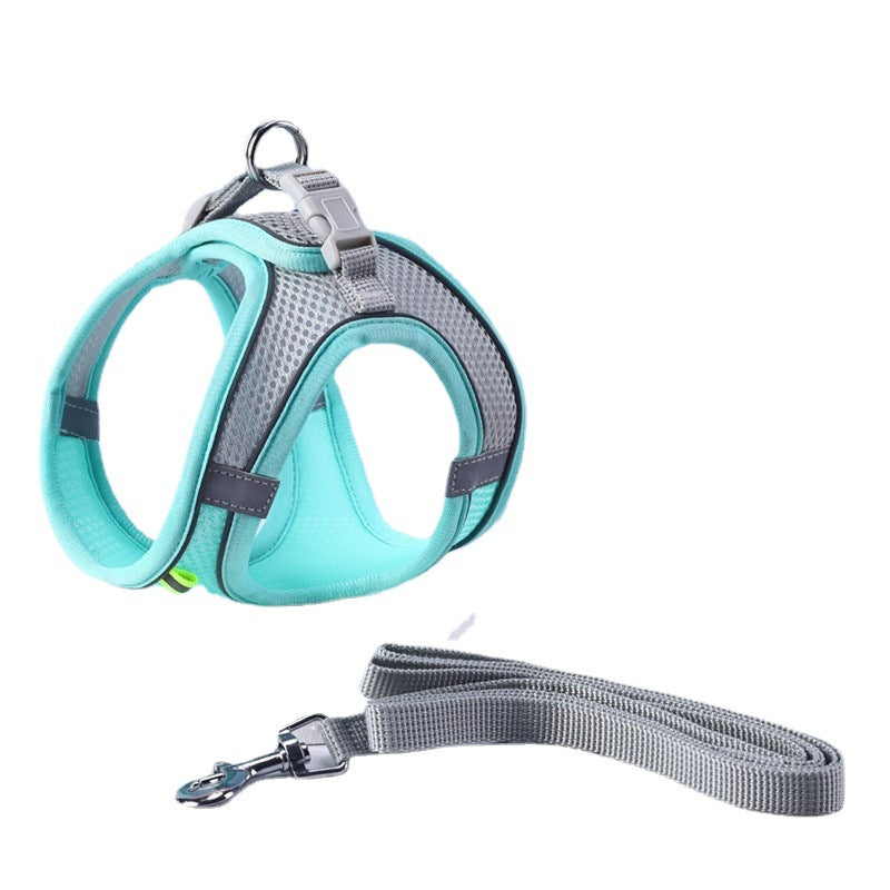Pet harness and leash set with teal and gray design on a white background