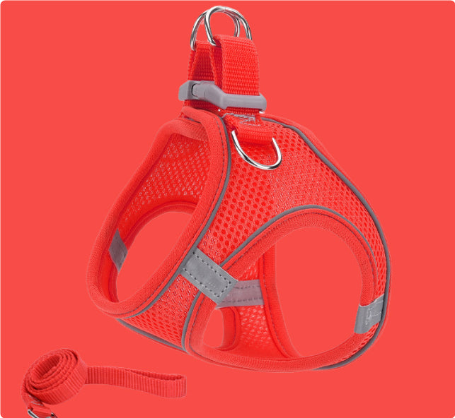 Red dog harness with gray accents on a red background