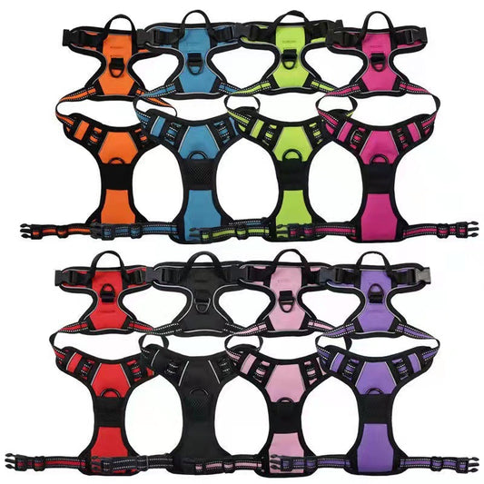 Set of colorful dog harnesses arranged in a grid on a white background